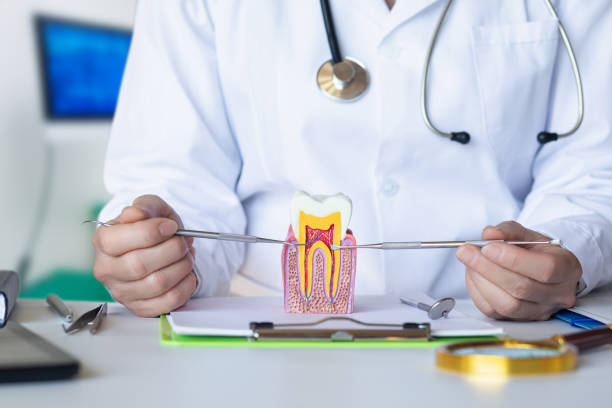 Best Emergency Broken Tooth Repair in Sitka, AK